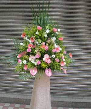 Flower arrangement  (8) - Emanating vibrant energy, our Dynamic Success Arrangement is a vivid display of bright pink anthuriums and lush foliage, perfect for marking a milestone or grand opening